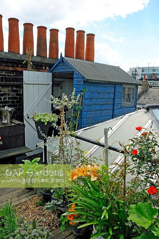 Rooftop garden with shed and chimney pots, Central London