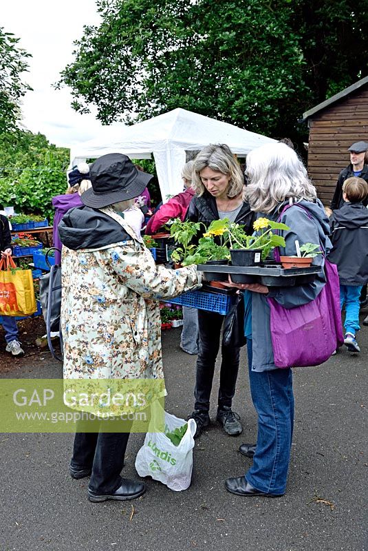 Three ladies discussing plants at plant sale, Alexandra Palace Allotments, London