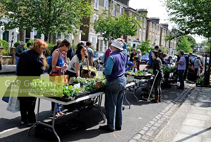 Wilberforce Road Gardeners community plant sale held in street, London