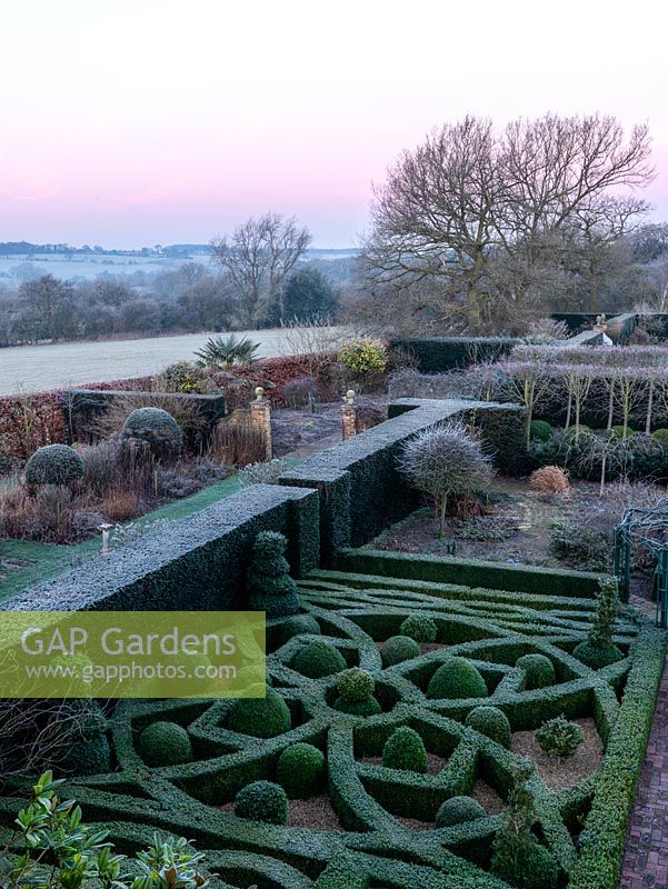 An overhead view of the formal knot garden at Wilkins Pleck, composed of box hedging, pyramids and balls.