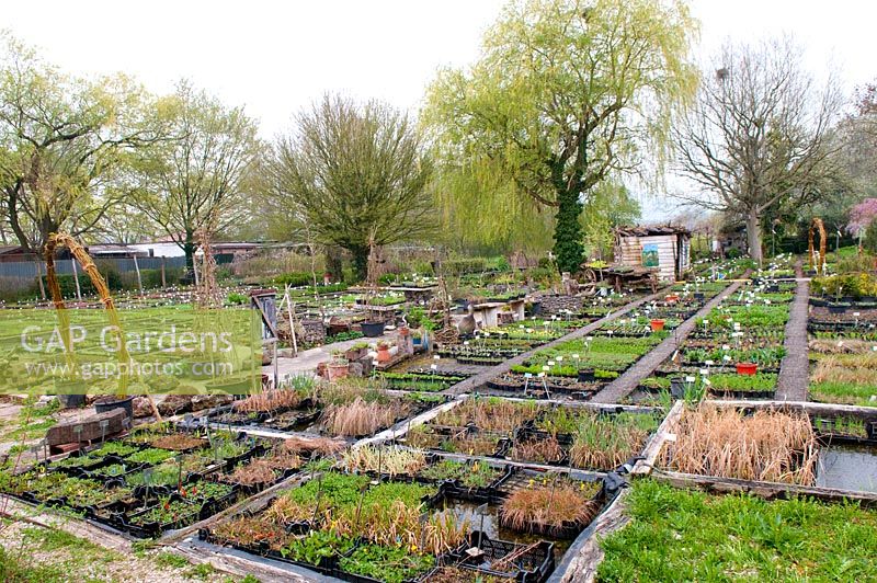 Exhibition garden, where labelled trays of plants are displayed