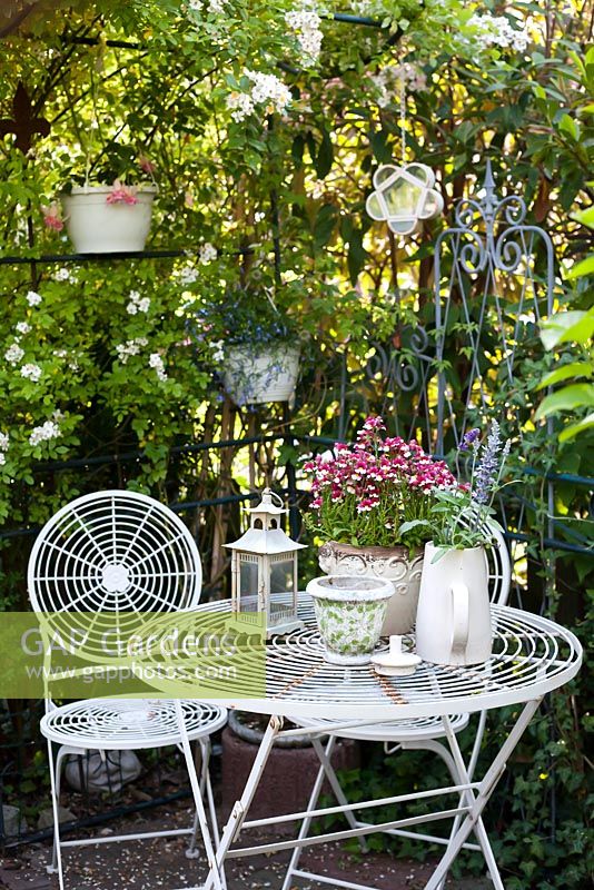 Secluided relaxing area with metal furniture and arrangements. Summer display with Nemesia 'White Bordeaux' planted in ornamental pot on the table.