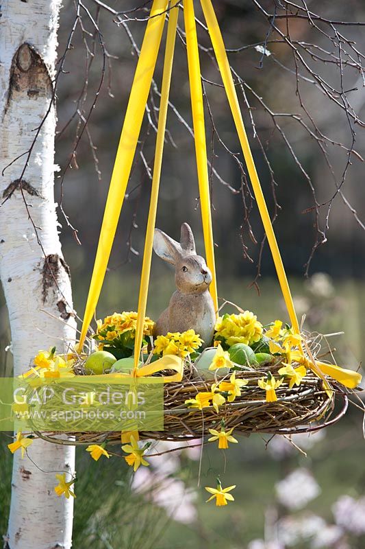 Hanging Easter basket with wreath of Salix - willow, filled with Easter eggs, Easter Bunny, Primula and flowers of Narcissus as garland 