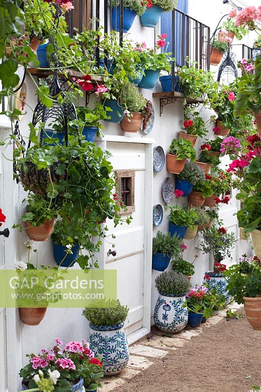 An Andalusian Moment, Best Show Garden, Malvern Spring Gardening Show 2015. Colourful pelargoniums in pots on the white washed walls around a doorway