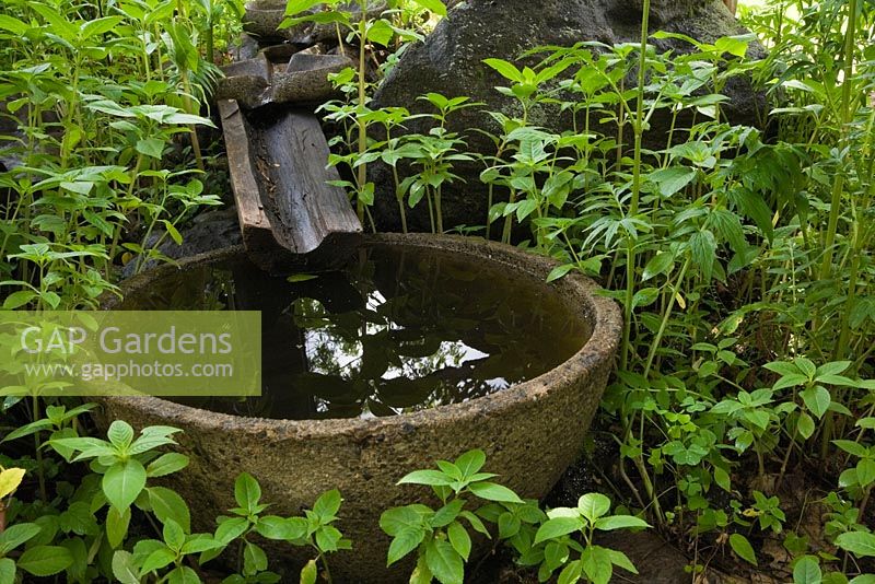Weathered aggregate cement bowl filled with rainwater in private backyard garden in summer