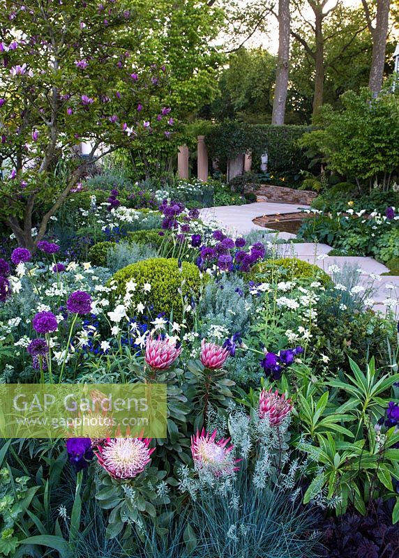 The Time In Between by Husqvarna and Gardena. View of sandstone path leading to water feature surrounded by Magnolia, Protea cynaroides 'Little Prince', Aquilegia nivea, Allium giganteum, Festuca Glauca, Buxus sempervirens.