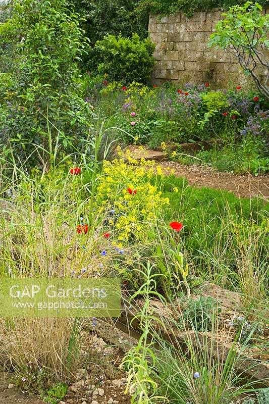 A Perfumer's Garden in Grasse. Naturalistic style planting. 