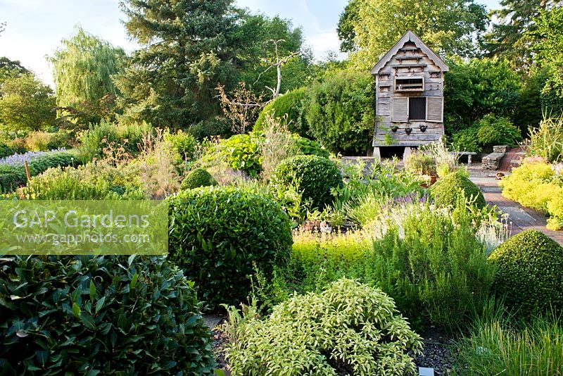 View across Herb Garden in summer towards wooden dovecote, with clipped topiary balls