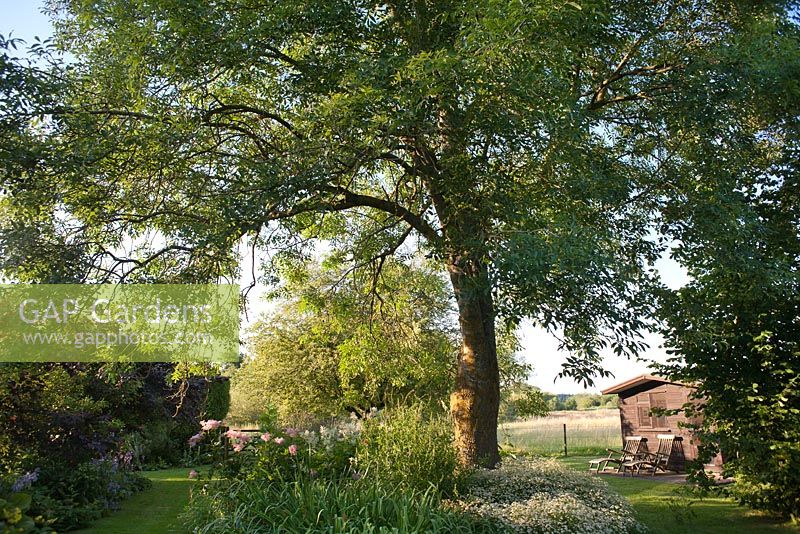 Secluded relaxing area with recliners under a mature tree at Terstan, Hampshire