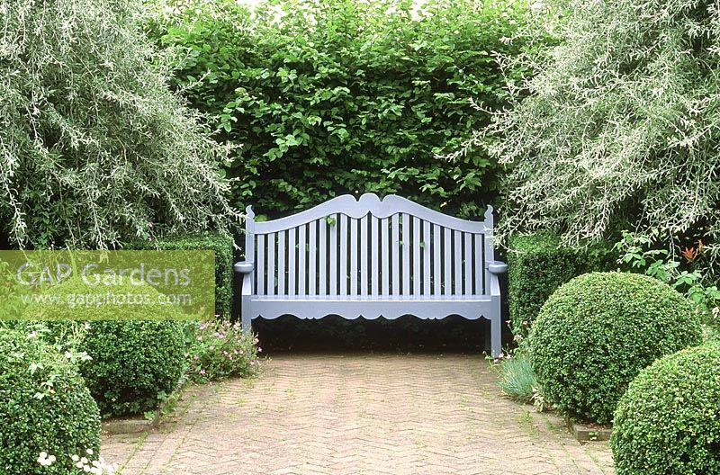 Bench painted blue in front of Carpinus hedge, flanked by Pyrus salicifolia 'Pendula' - pendulous willow-leaved pear, buxus - box balls and herringbone pattern brick path, Wyken Hall, Suffolk, July