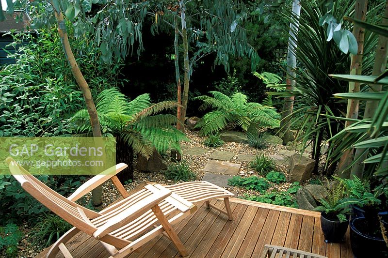 Tropical planting in London garden, dicksonia antartica, eucalyptus, decking and lounge chair