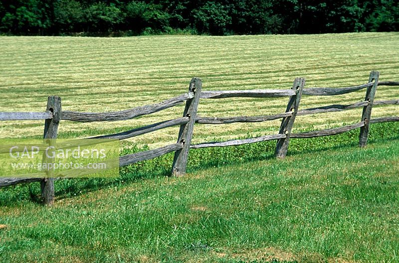 Post and rail fence, dividing fields made of cleft oak timbers. Michigan, USA