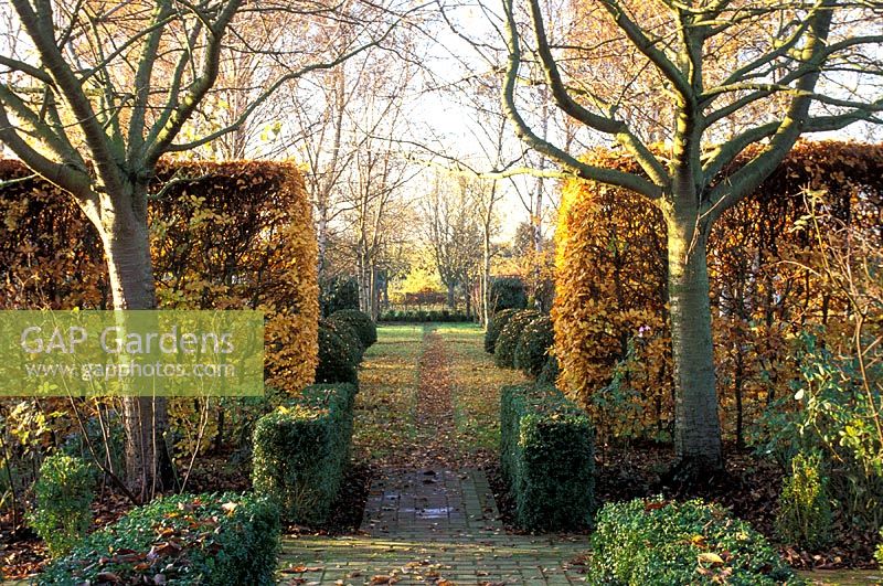 Formal garden in autumn with beech and box hedges