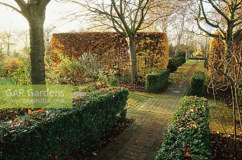 Formal garden in late autumn with beech and box hedges - buxus and Fagus sylvatica