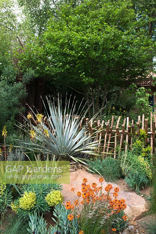 Sentebale - Hope in Vulnerability, View of hurdle fence made from chestnut poles and stones amongst succulents and grasses.