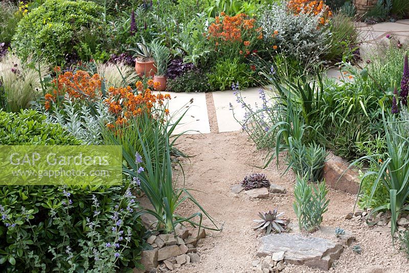 Sentebale - Hope in Vulnerability garden. Dry gravel path planted with succulents, meeting a stone path. 