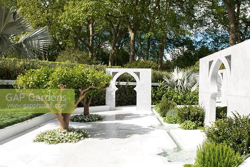 View of citrus nobilis trees, thymus vulgaris and palms - Bismarckia nobilis and Nannorrhops ritchiana arabica, planted in white marble area with water feature and walls with arabic style arches against olive hedge - Olea europaea. The Beauty of Islam. RHS Chelsea Flower Show, 2015