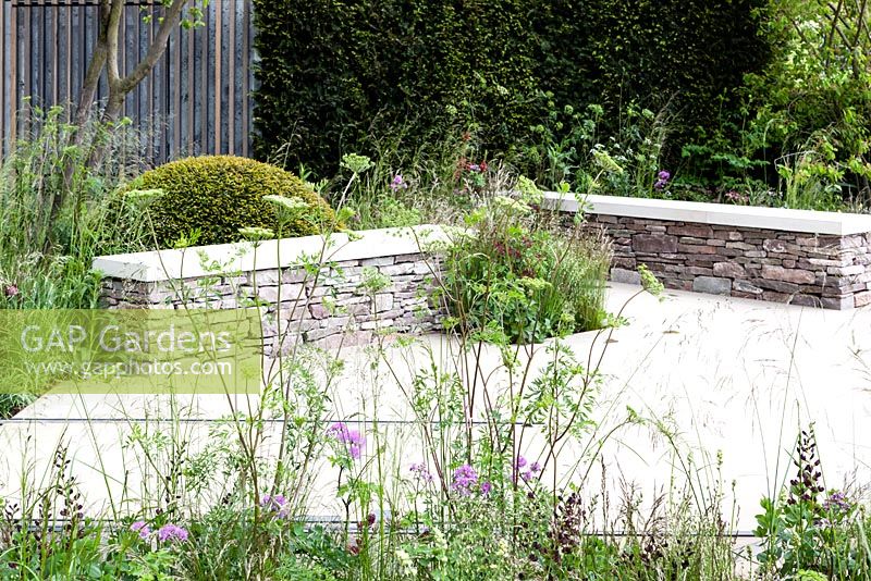 View through planting to detail of courtyard with drystone benches capped with limestone slabs, a mound of clipped Taxus baccata behind. The Cloudy Bay and Bord na Mona garden, Chelsea Flower Show 2015

