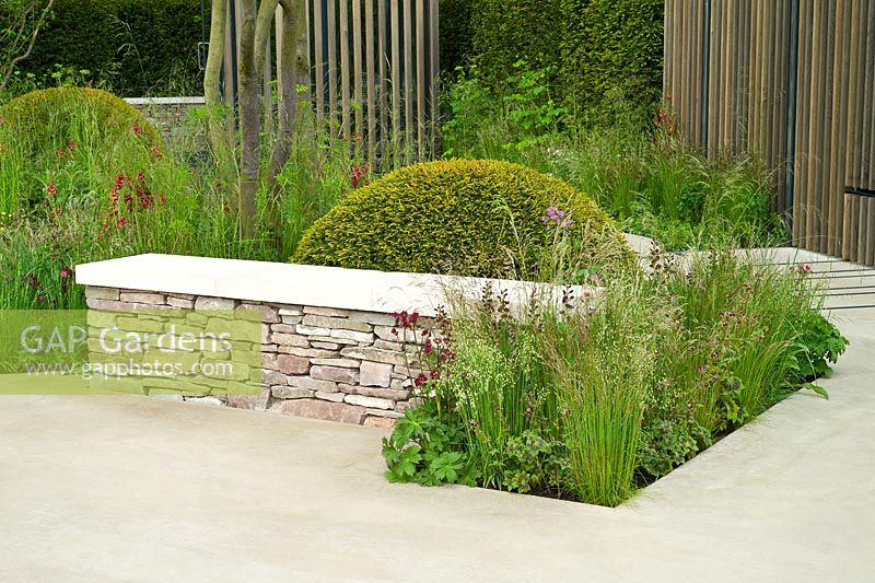 Drystone wall seat and stone terrace with clipped dome of Taxus baccata, grasses and perennials including Deschampsia flexuosa, Baptisia 'Dutch Chocolate', Astrantia 'Hadspen Blood' - RHS Chelsea Flower Show 2015