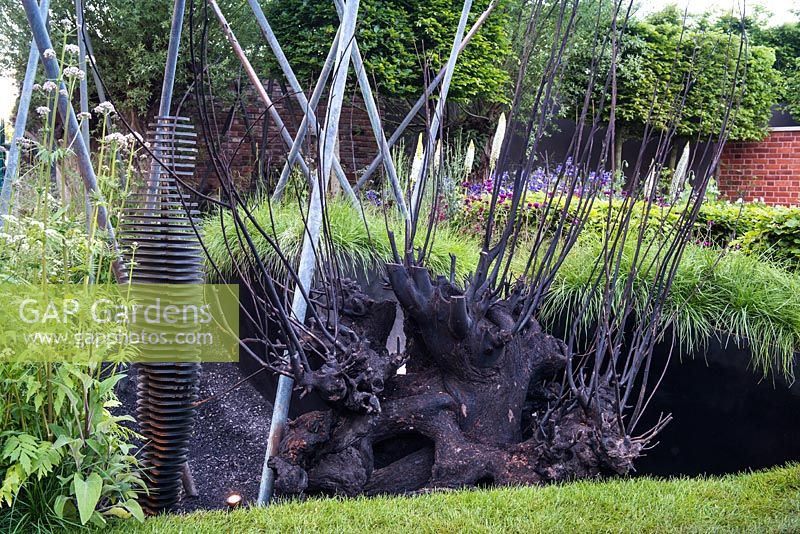 Steel poles, abstract statue and a root surrounded by Luzula nivea, Filipendula ulmaria,  Valeriana officinalis, Cirsium rivulare 'Trevor's Blue Wonder',  Eremurus himalaicus. The Living Legacy Garden. Chelsea Flower Show 2015
