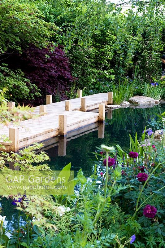 The Retreat wooden board walk beside natural swimming pool with black water backed by hedge and cottage-style border in front. The M and G Garden 2015 -  RHS Chelsea Flower Show 2015