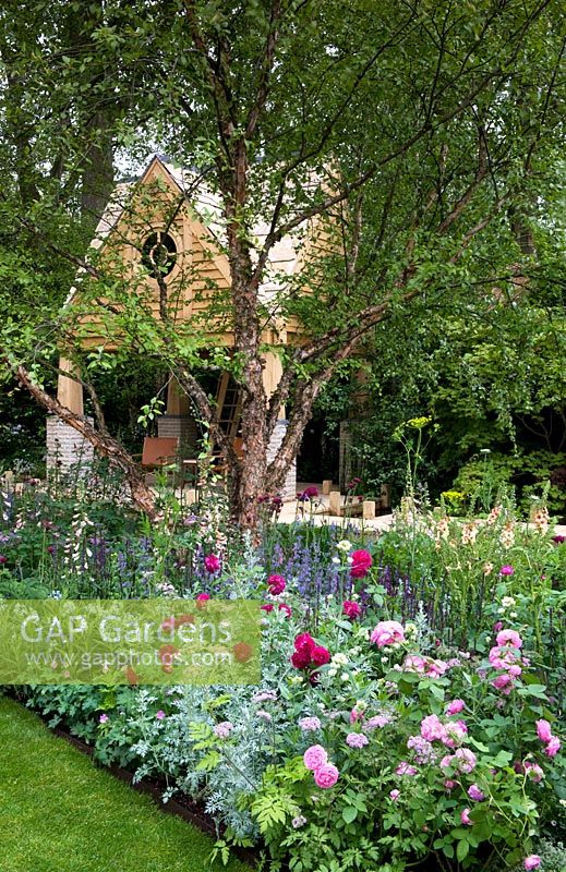 The M and G Garden - The Retreat. Betula nigra in Cottage-style border with roses. Oak building in back.