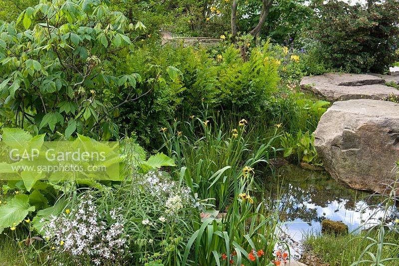Naturalistic recreation of Trout stream and Paxton's rockery. Rocky pool with Iris 'Berlin Tiger'.  The Laurent-Perrier Chatsworth Garden. RHS Chelsea Flower Show, 2015