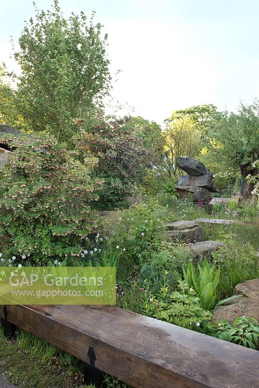 The Laurent-Perrier Chatsworth Garden. Wooden boardwalk, boulders, Enkianthus campanulatus with Rosa rubiginosa and Dipsacus fullonum