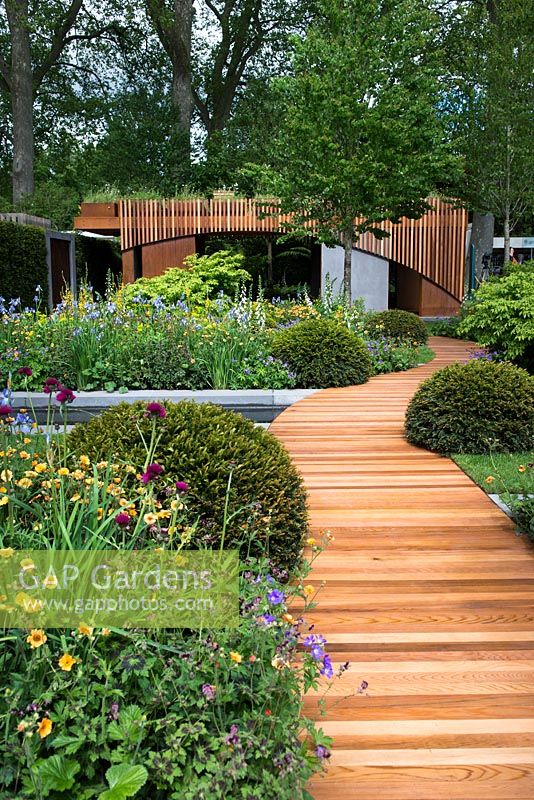View of the modern house and wooden path surrounded by Cirsium rivulare 'Atropupureum', Geum 'Totally Tangerine' and topiary Taxus Baccata Ball. The Homebase Garden - Urban Retreat, RHS Chelsea Flower Show 2015