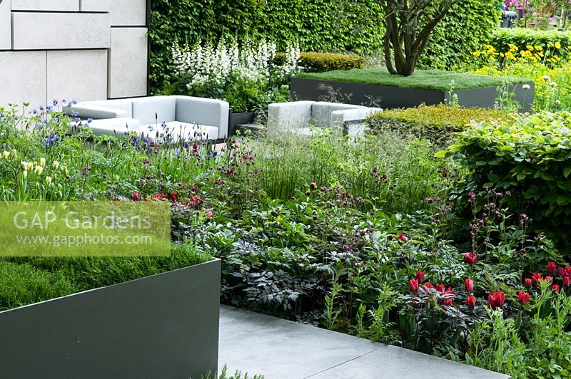 The Telegraph Garden inspired by the De Stijl Movement. This geometric garden includes: Tulipa 'Red Hat' and 'Spring Green', Aquilegia vulgaris, Digitalis alba, Iris sibirica 'Shirley Pope' with Carpinus betulus and Taxus baccata cubed hedges.