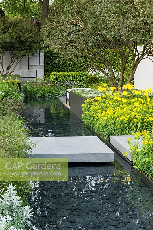 View along rill edged in beds of grasses, irises and perennials - golden doronicum and euphorbia on right. The Telegraph Garden. RHS Chelsea Flower Show, 2015