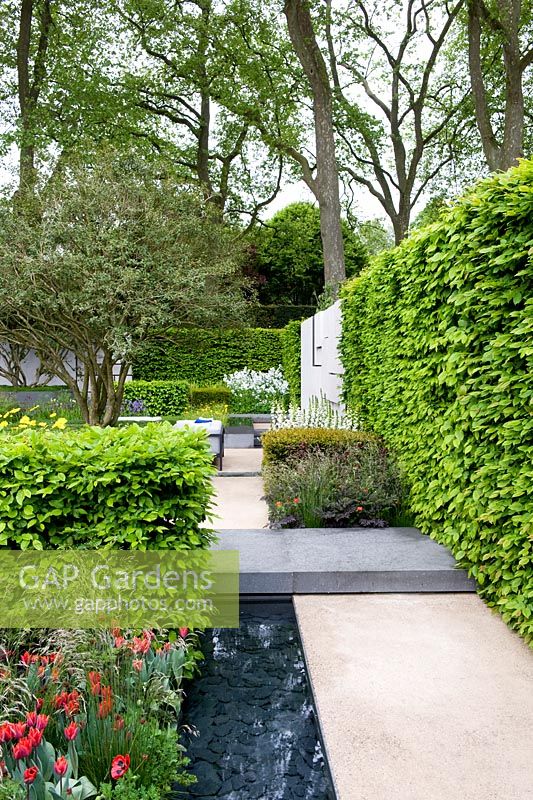 The Telegraph Garden. Aggregate path leading to seating area with hedge and block of hornbeam with water tank, slate path and Osmanthus burkwoodii tree.