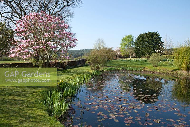 A view of the pond area at Felley Priory in Nottinghamshire