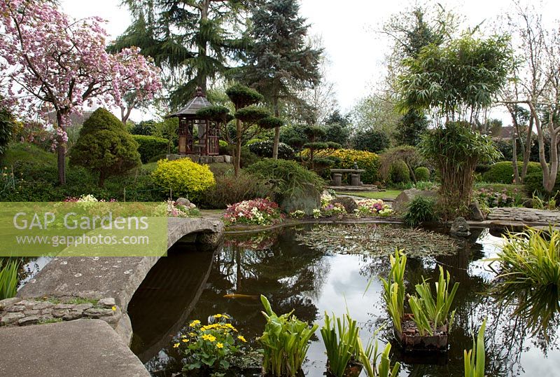 A view of the pond area at Pure land Japanese Garden and Meditation Centre, Nottinghamshire