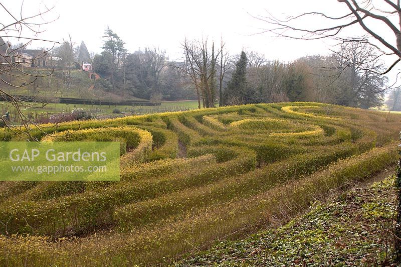 250th anniversary maze at Painswick Rococo Garden