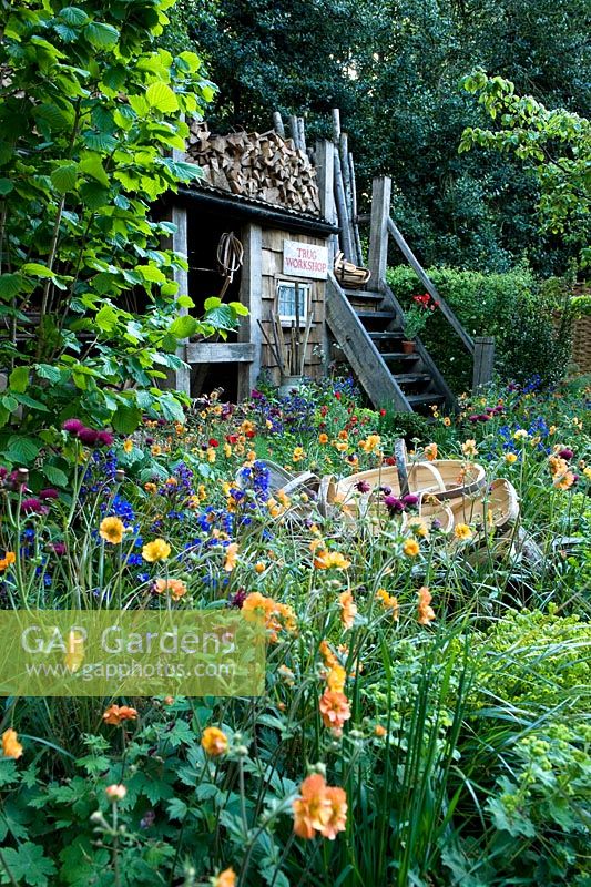 A Trugmaker's Garden - Orange Geum prominent in cottage garden planting with anchusa and Cirsium. Hazel bush with workshop in back and wheelbarrow in mid-ground 