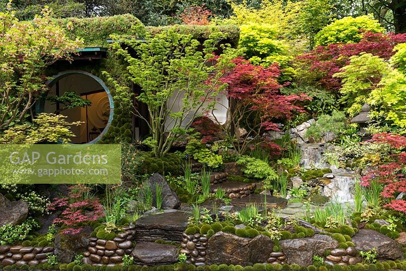 Edo no Niwa - Edo Garden, reflecting a time when gardens of maples, moss and stones, were designed for everyone, regardless of class or wealth.  RHS Chelsea Flower Show, 2015