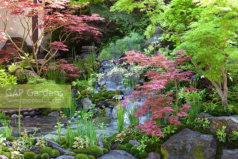 Edo no Niwa, depicting the Edo period in Japan when horticulture became open to all Japanese people - it is a garden for everyone regarless of class or wealth - RHS Chelsea Flower Show, 2015
