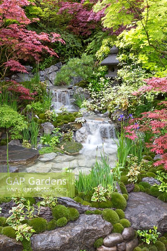 Edo no Niwa - Edo Garden, overall view, featuring waterfall cascading over rocks, Japanese maples - Acer Palmatum cvs, Pieris, Iris sibirica, Houttuynia cordata 'Chameleon'  