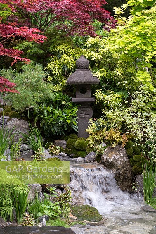 Edo no Niwa - Edo Garden, reflecting a time when gardens of maples, moss and stones, were designed for everyone, regardless of class or wealth.