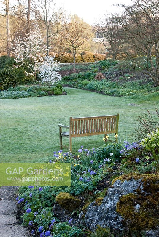 The Park Garden at Forde Abbey in Spring, wooden bench overlooking bed with Magnolia stellata, Primula denticula and Narcissus in foreground