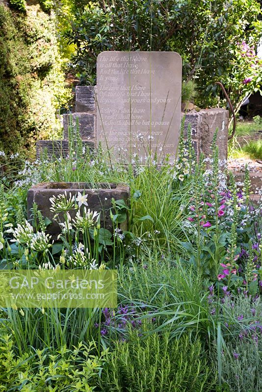 Mixed planting - Rosmarinus, agapanthus digitalis - foxglove and herbs - The Evaders Garden, RHS Chelsea Flower Show 2015 