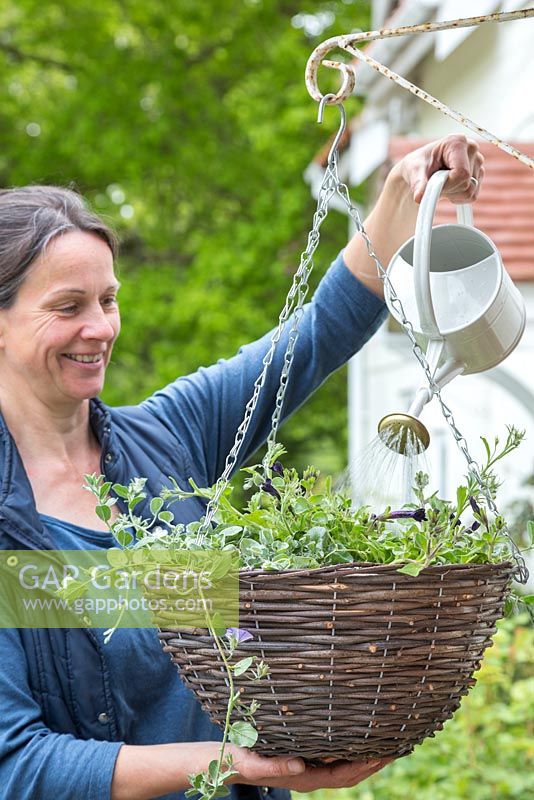 Woman watering hanging basket 