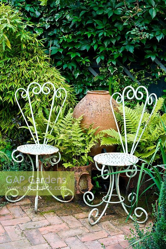 White metalwork chairs in front of urn. Also Phyllostachys bamboo and ferns inc. Athyrium filix-femina -lady fern and Asplenium scolopendrium - hart's tongue fern