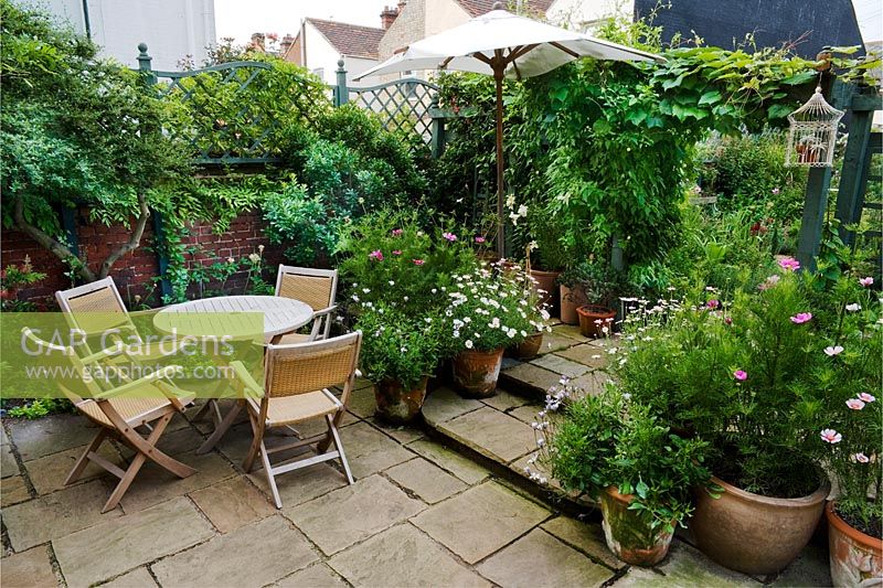 Top terrace with table and chairs. All planting in pots inc: petunias, lilies, cosmos, osteospermums, margurites. Vitis coignetiae behind on trellis.