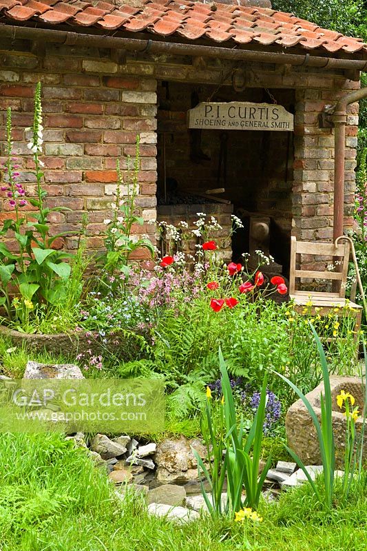 The Old Forge Artisan Garden for Motor Neurone Disease Association. RHS Chelsea Flower Show 2015. Cottage style planting of native wild flowers with Papaver rhoeas - Poppy and Digitalis purpurea - Foxgloves and stream. 