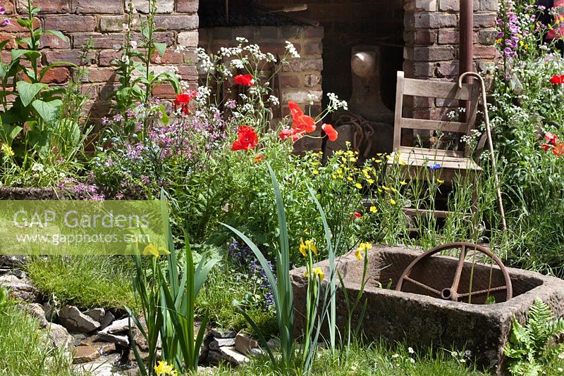The Old Forge garden for Motor Neurone Disease Association. RHS Chelsea Flower Show 2015. Border planting of Papaver rhoeas, Digitalis purpurea, Buttercups and Iris pseudacorus 