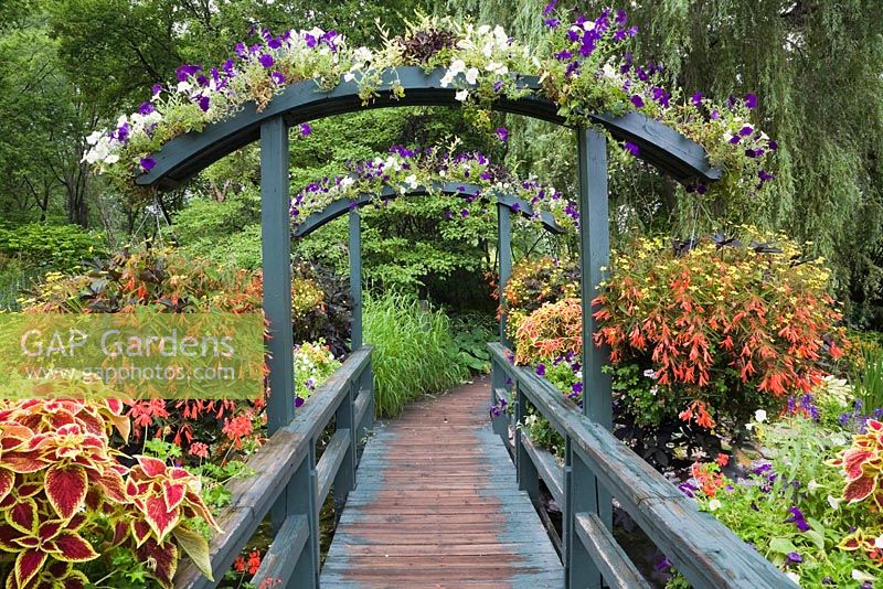 Old weathered wooden footbridge decorated with white and purple Petunias and hanging baskets with red Solenostemon - Coleus in summer