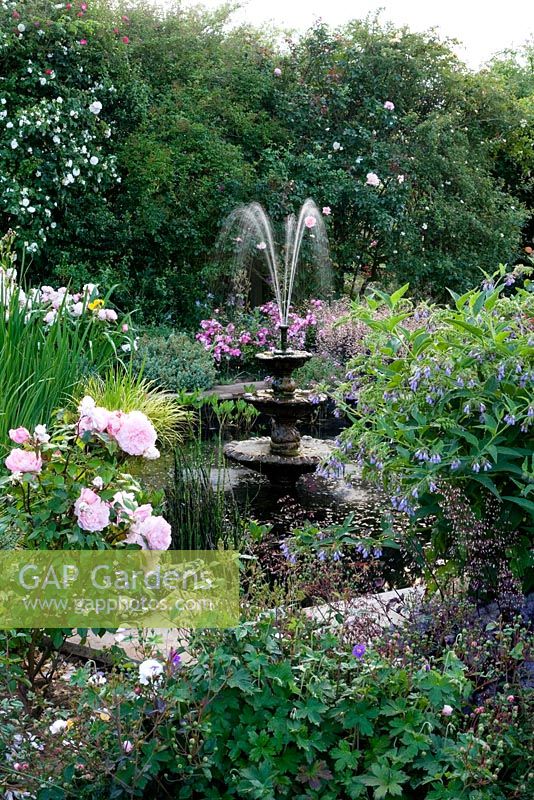 Pond with fountain. Plants include pink rose Rosa 'Gruss an Achen', Iris pseudacorus - yellow flag and Saxifraga x urbium 
