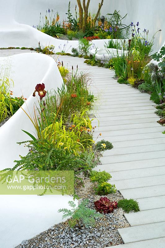 Warm planting colour palette combination of orange, red and yellow. Contemporary curvilinear white hard landscaping and path. Pure Land Foundation Garden. RHS Chelsea Flower Show 2015